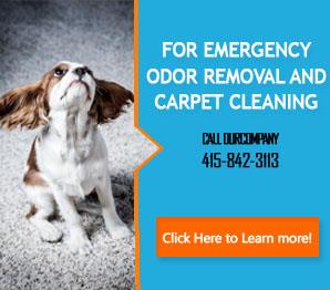 Office Carpet Cleaning - Carpet Cleaning Tiburon, CA